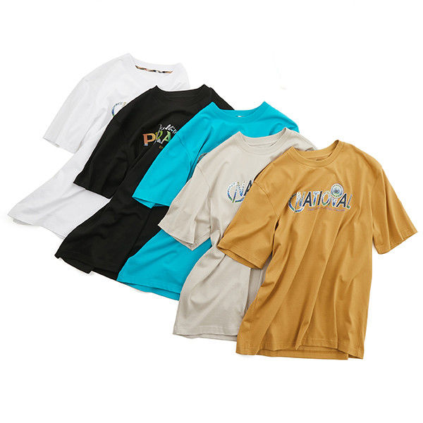 100% βαμβάκι Custom T-shirts ανδρών μεγέθους 240g για καθημερινή καθημερινή χρήση στο γραφείο