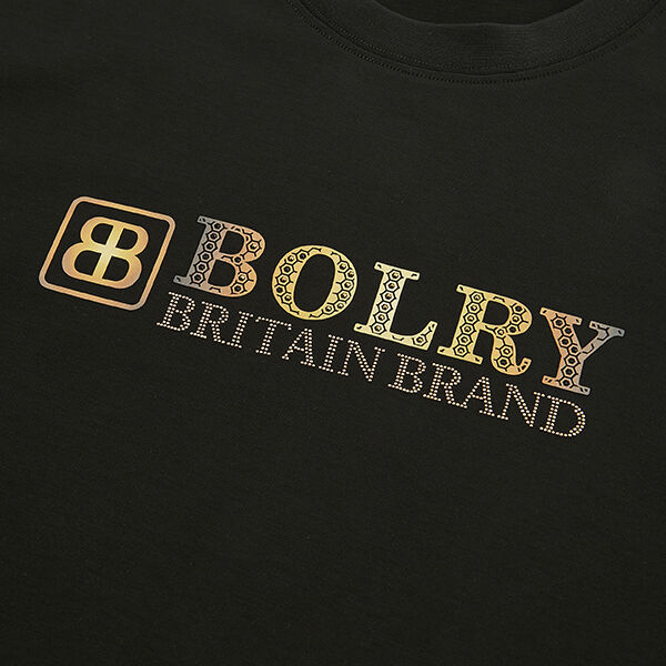 Υψηλής απόδοσης μπλουζάκια χονδρικό αντι ρυτίδες βαρέος βάρος προσαρμοσμένο μπλουζάκι 300 Gsm